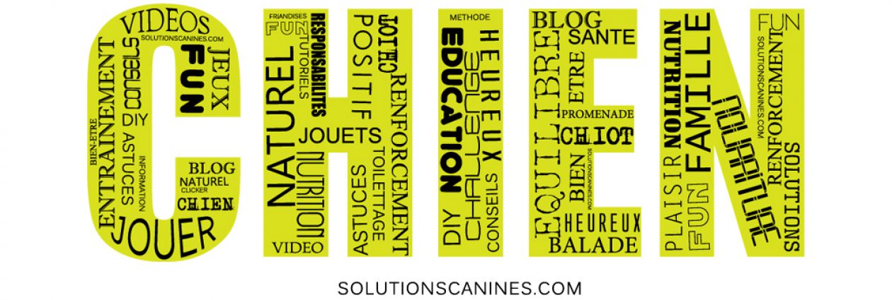 Solutions Canines Le Blog